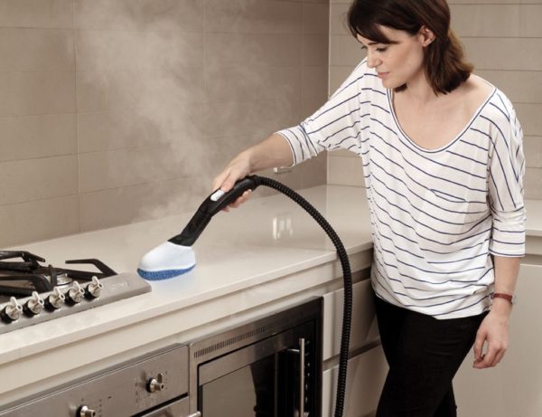 Steam Cleaner